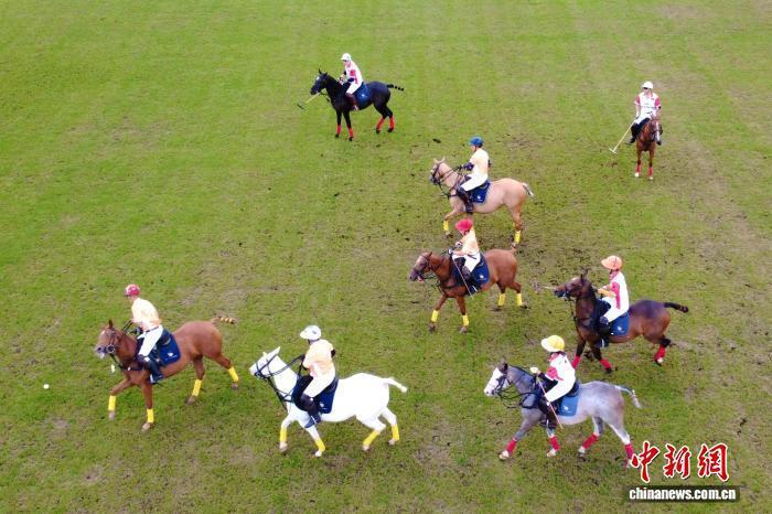 xk, 用球杆击球, gtimg